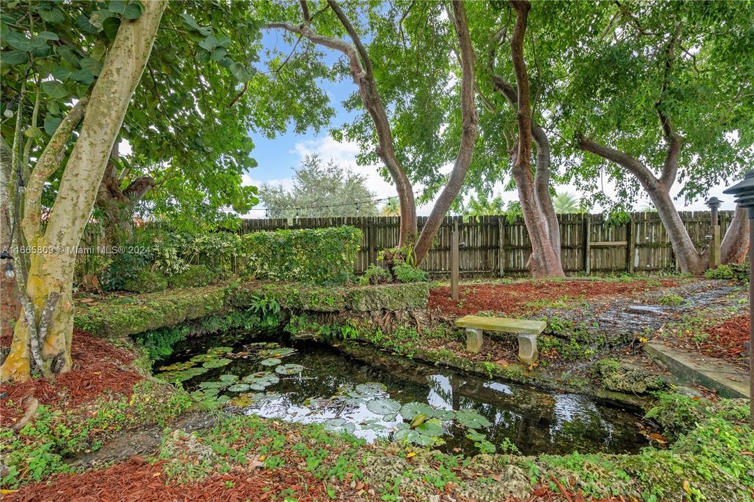 2 WATER FEATURES W/ KOI POND