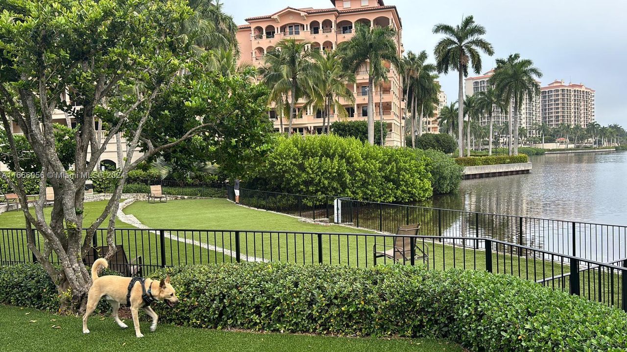 Deering Bay Dog Park