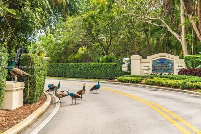 Deering Bay Entrance