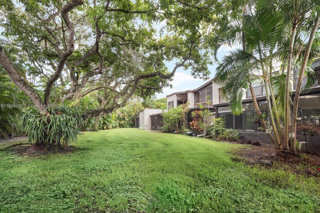 Back yard of townhouse.