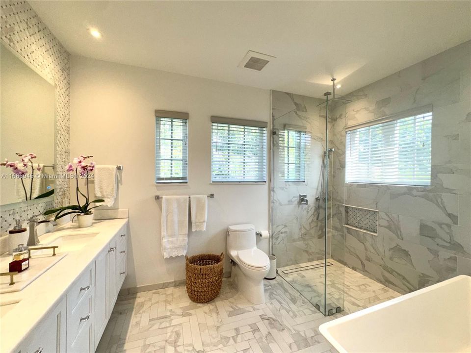 Double sink, shower and Tub