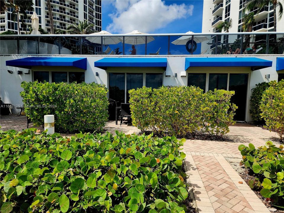 Oceanfront Cabana