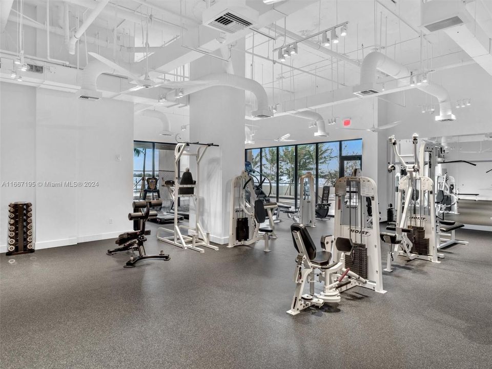 brand new gym