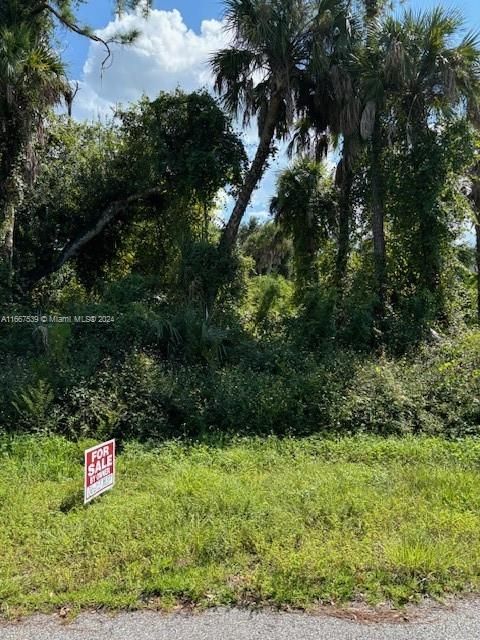 На продажу: $30,000 (10,000.00 acres)