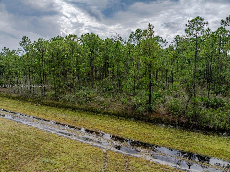 На продажу: $19,000 (0.50 acres)