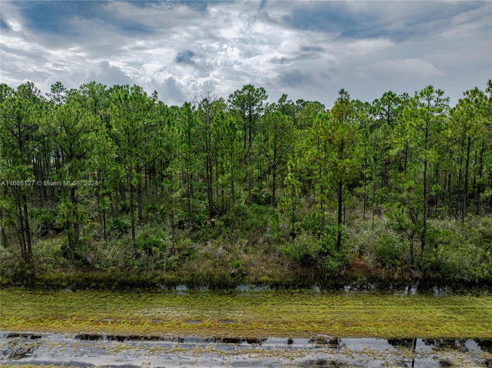 На продажу: $19,000 (0.50 acres)