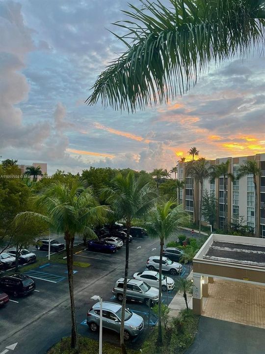 Window view to parking lot