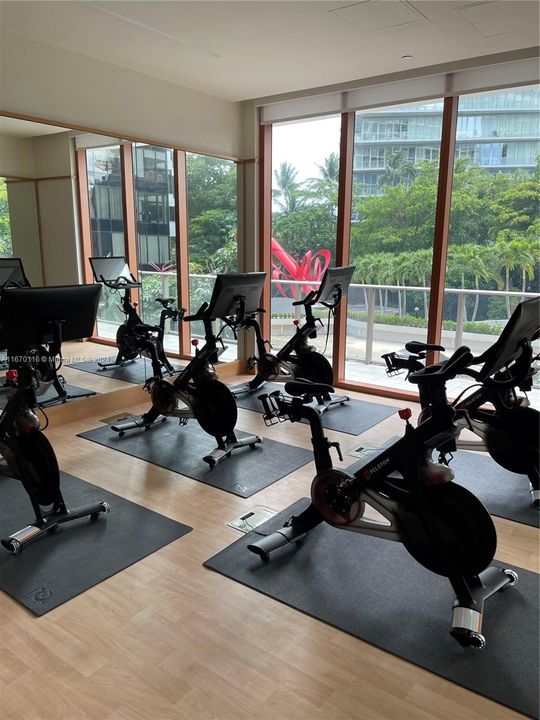 Peloton Room