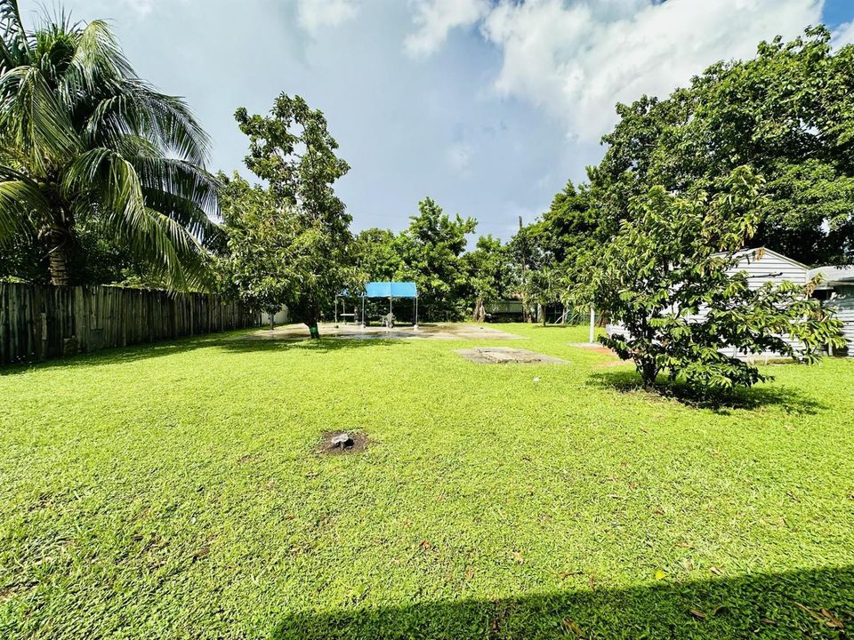 Backyard View