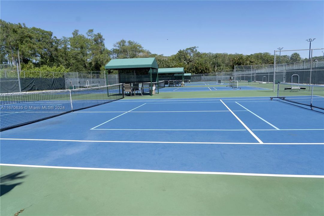 Tennis Court and Pickleball