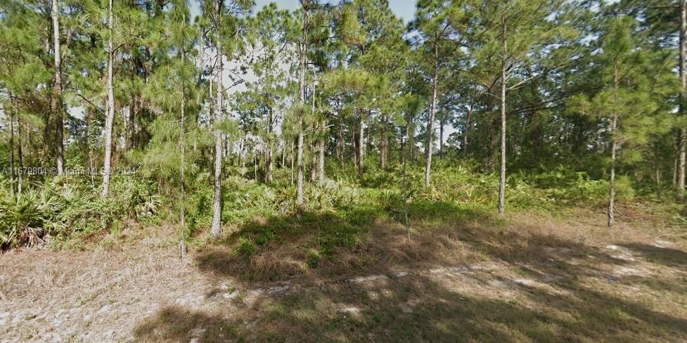 En Venta: $35,000 (0.24 acres)