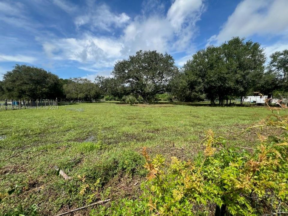 For Sale: $68,000 (1.25 acres)