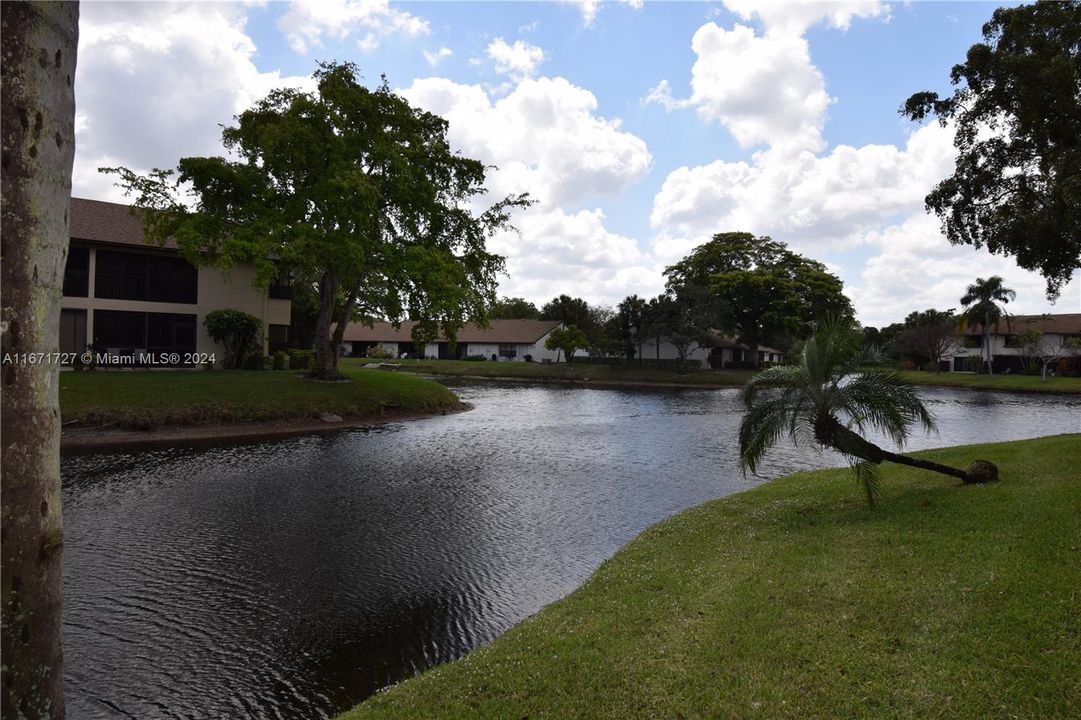 view from backyard