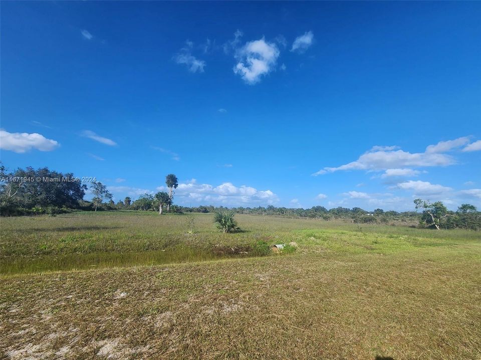 En Venta: $60,000 (1.25 acres)