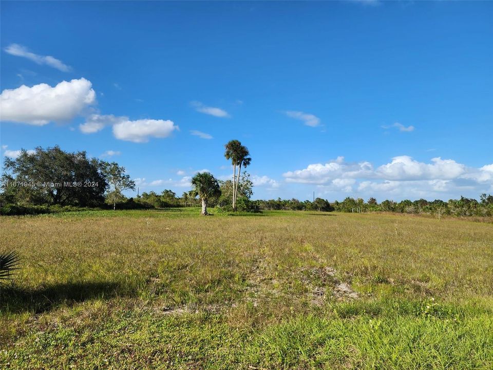 En Venta: $60,000 (1.25 acres)