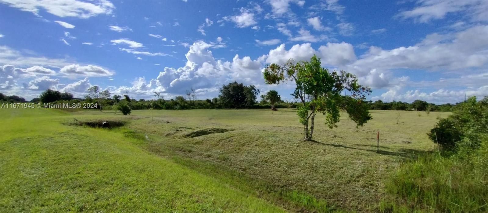 En Venta: $60,000 (1.25 acres)