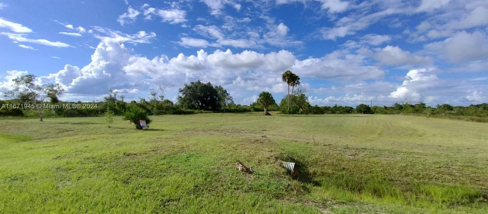 En Venta: $60,000 (1.25 acres)