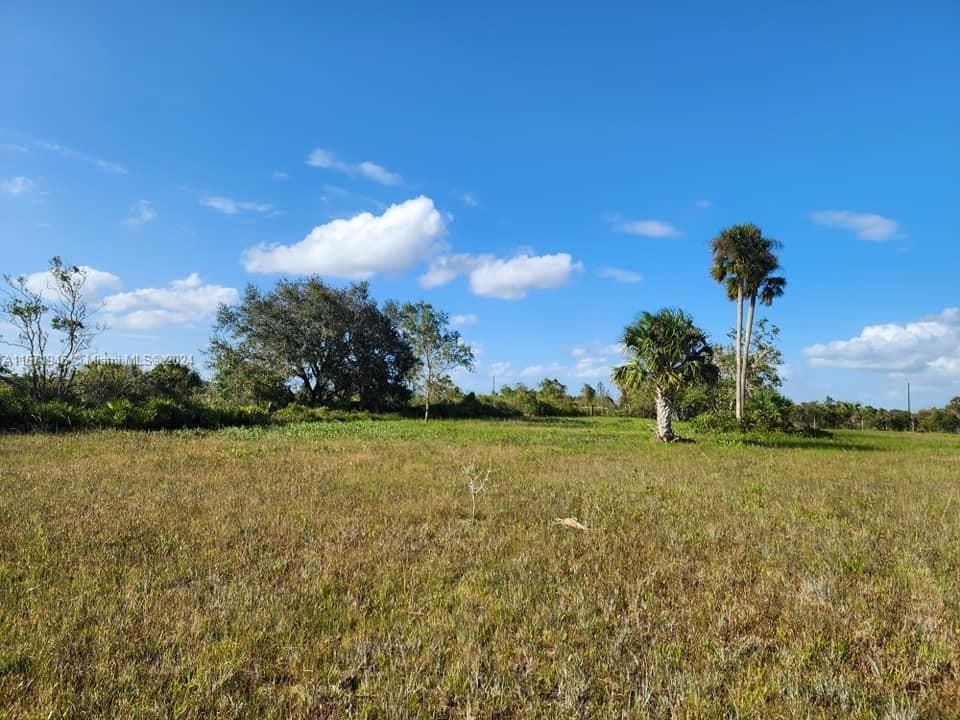 En Venta: $60,000 (1.25 acres)