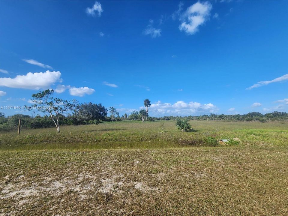 En Venta: $60,000 (1.25 acres)