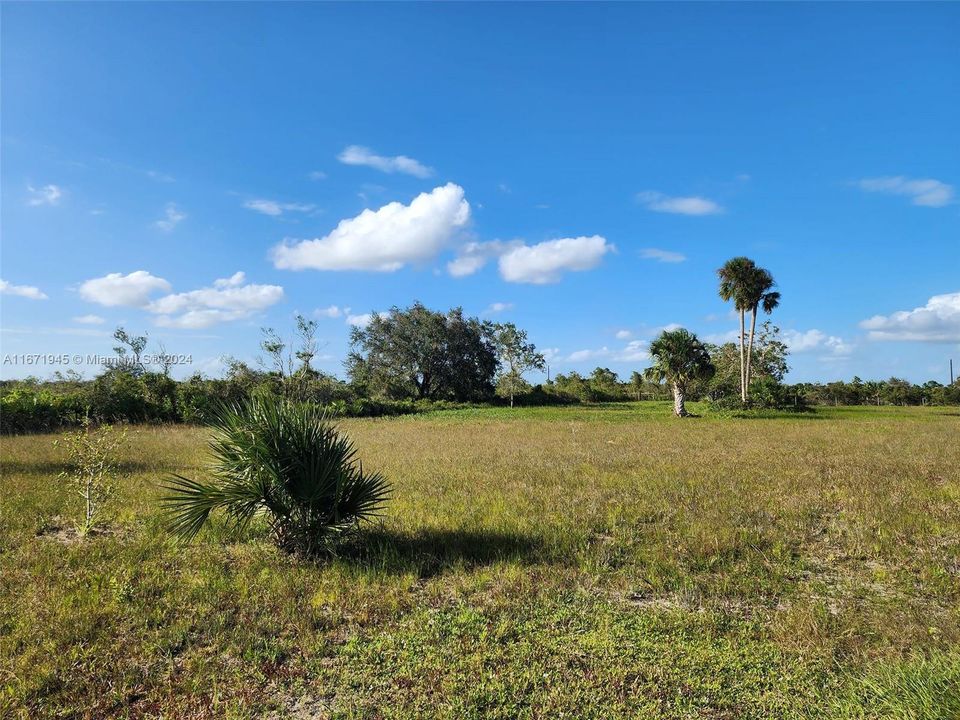 En Venta: $60,000 (1.25 acres)