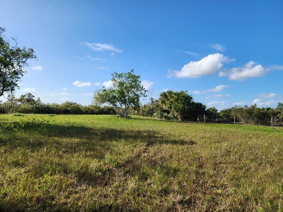 En Venta: $60,000 (1.25 acres)