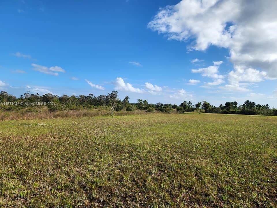 En Venta: $60,000 (1.25 acres)