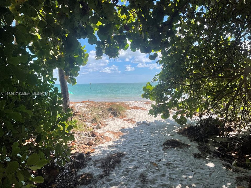 Serene pathway to beach!