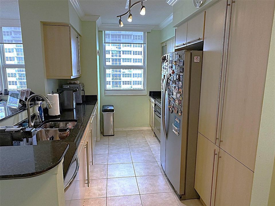 Long kitchen with lots of counter and cabinet space, stainless steel appliances