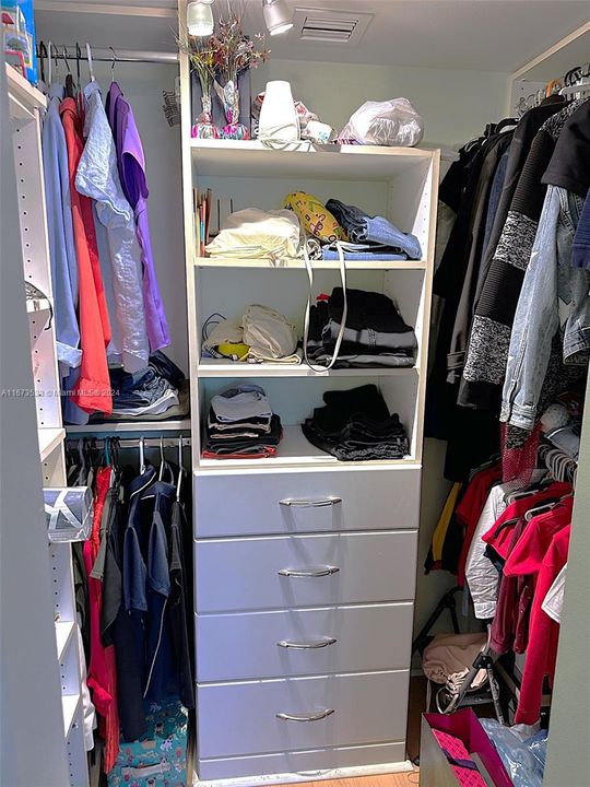 Primary custom closet #2