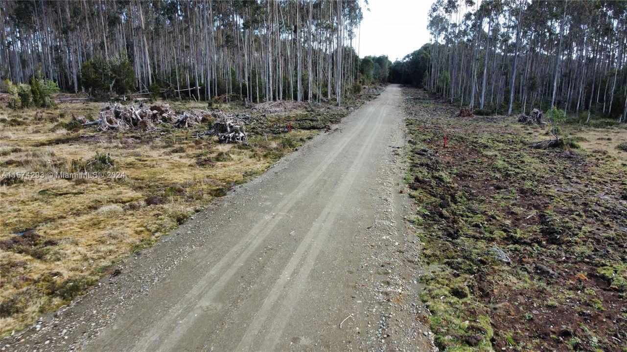 На продажу: $25,000 (1.24 acres)