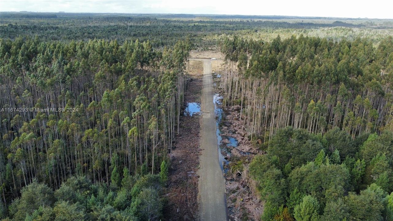 На продажу: $25,000 (1.24 acres)