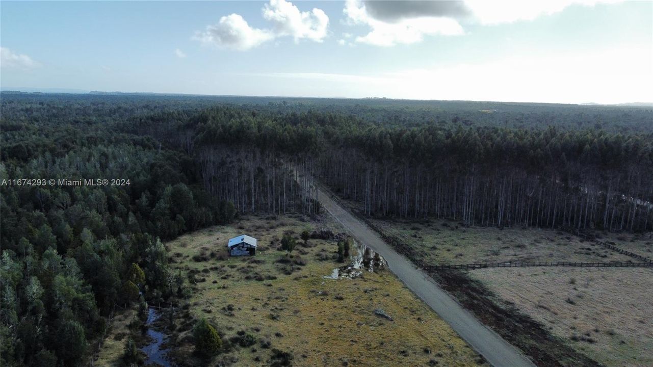 На продажу: $25,000 (1.24 acres)