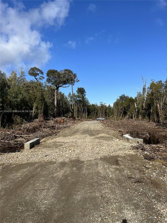 На продажу: $25,000 (1.24 acres)