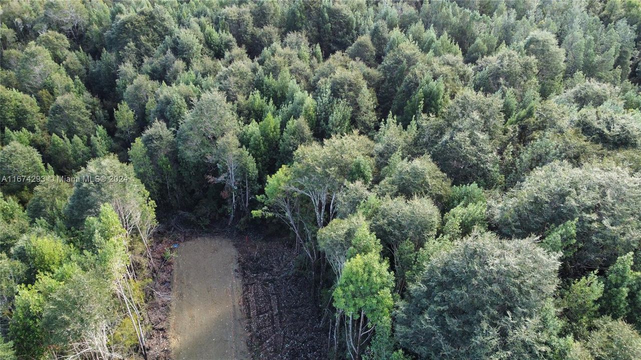 На продажу: $25,000 (1.24 acres)