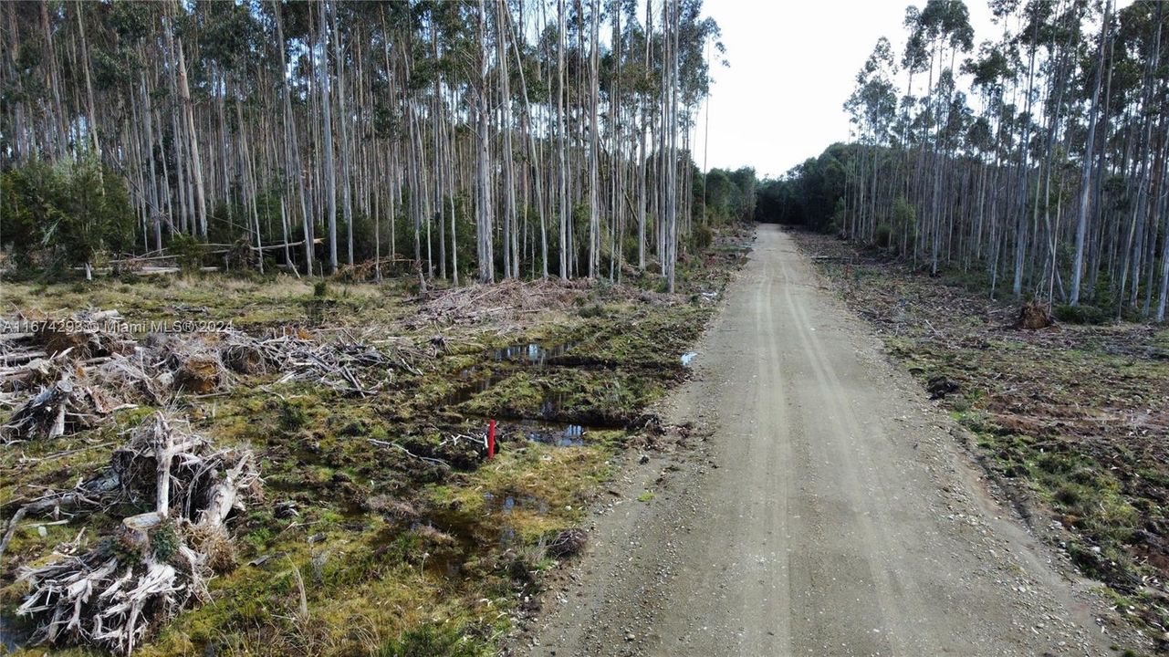 На продажу: $25,000 (1.24 acres)