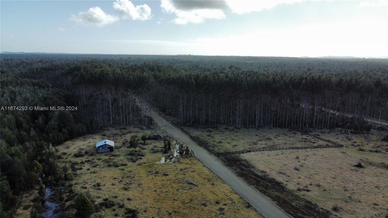 На продажу: $25,000 (1.24 acres)