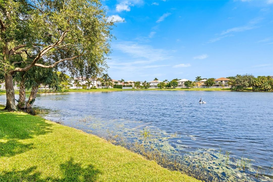 For Sale: $563,000 (3 beds, 2 baths, 1795 Square Feet)