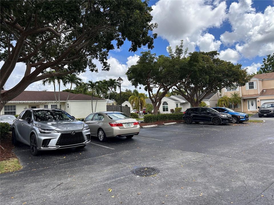 Additional Parking for Guests in front of House