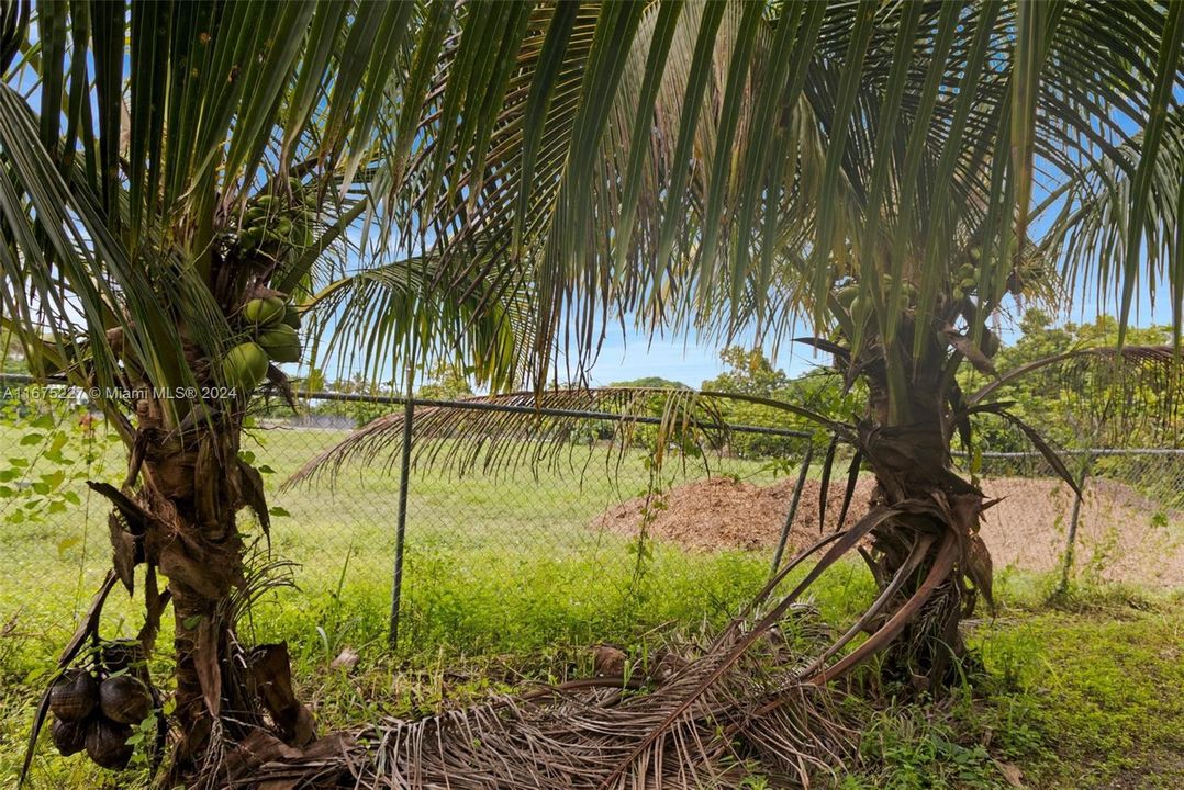 На продажу: $1,925,000 (5.00 acres)