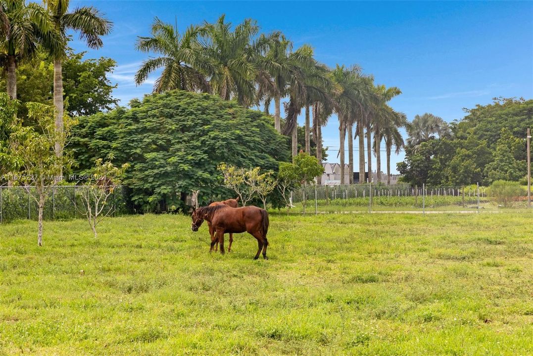 На продажу: $1,925,000 (5.00 acres)