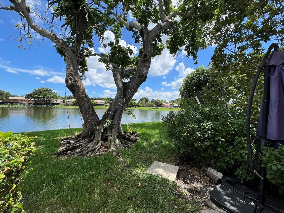 For Sale: $450,000 (3 beds, 2 baths, 1332 Square Feet)