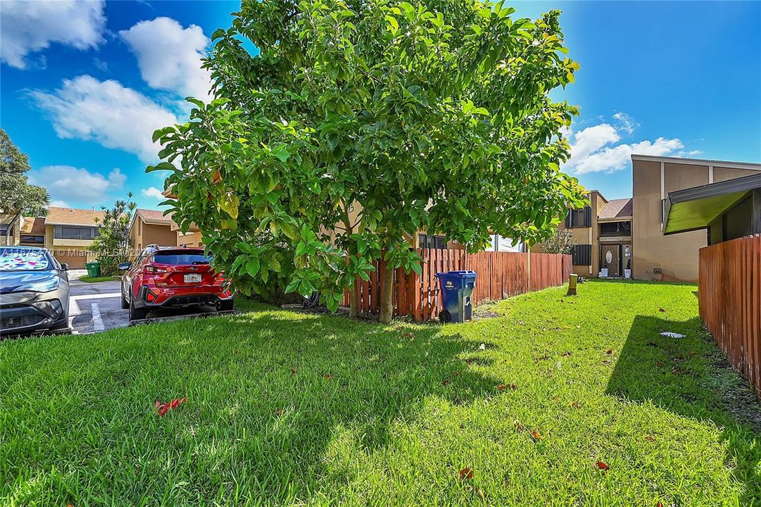 Fenced backyard