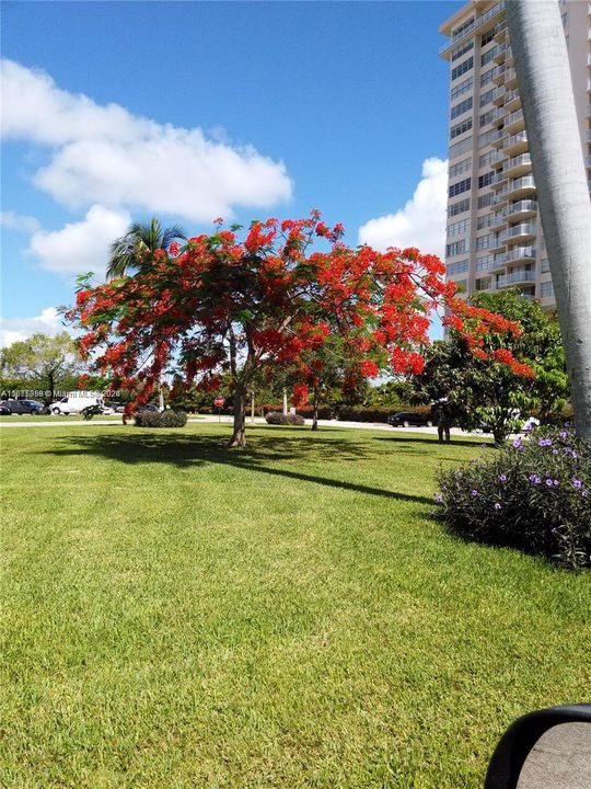 Point East in Bloom