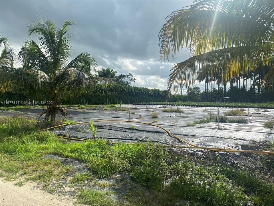 На продажу: $999,000 (4.70 acres)