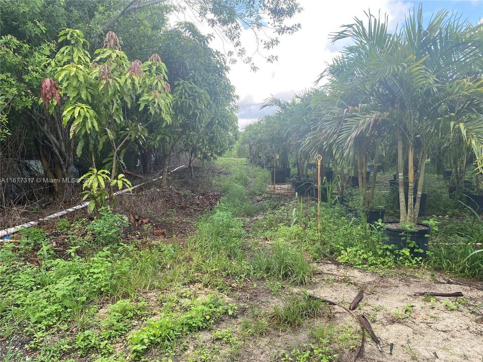 En Venta: $999,000 (4.70 acres)