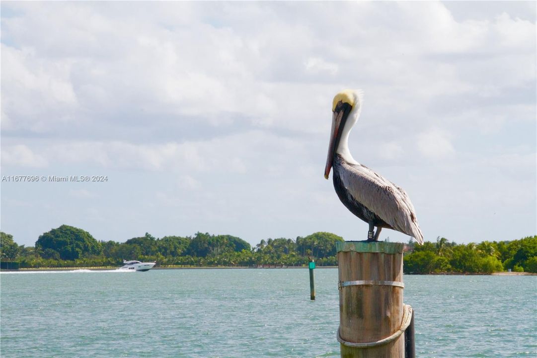 WILDLIFE & RECREATION AT MARINER'S BAY