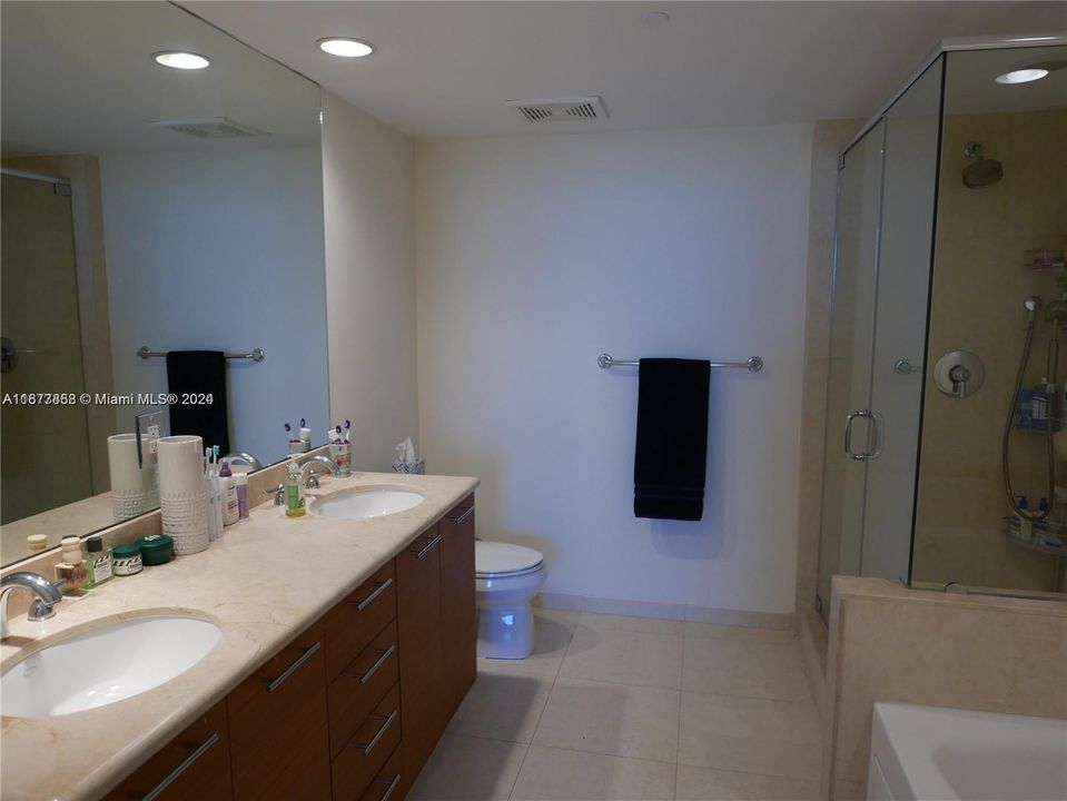 Master bath tub & shower