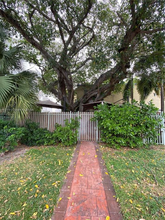 Private backyard entrance