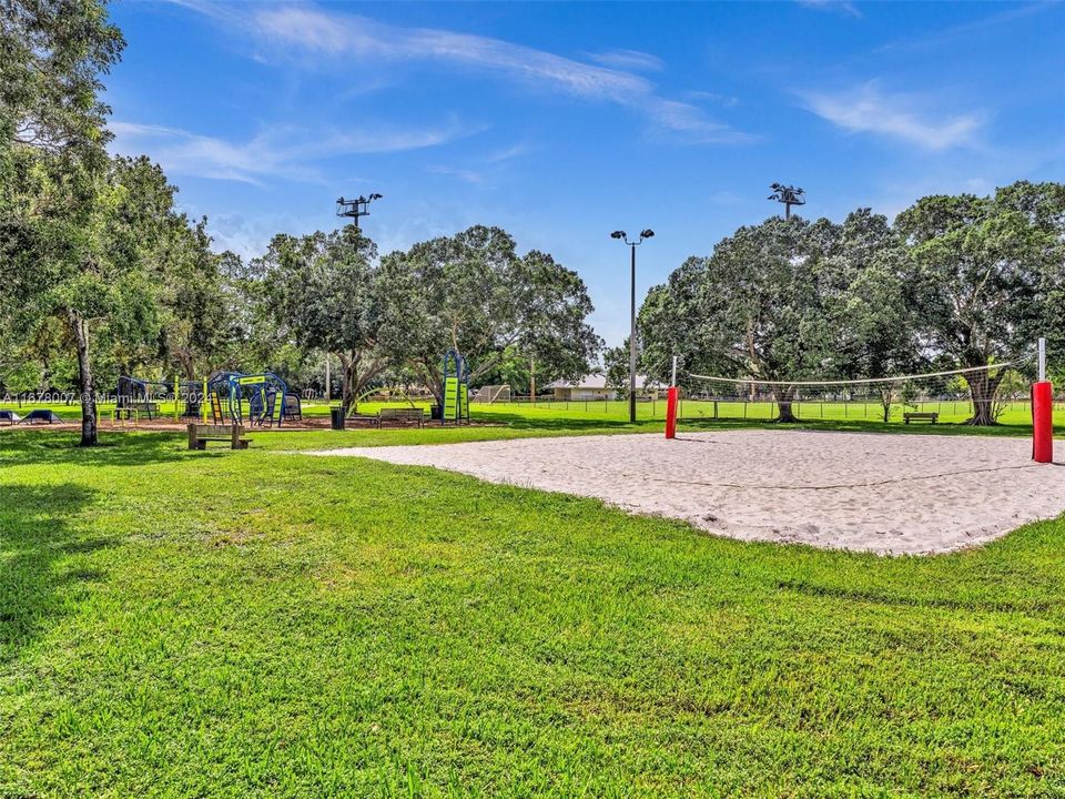 Shenandoah Park, volleyball