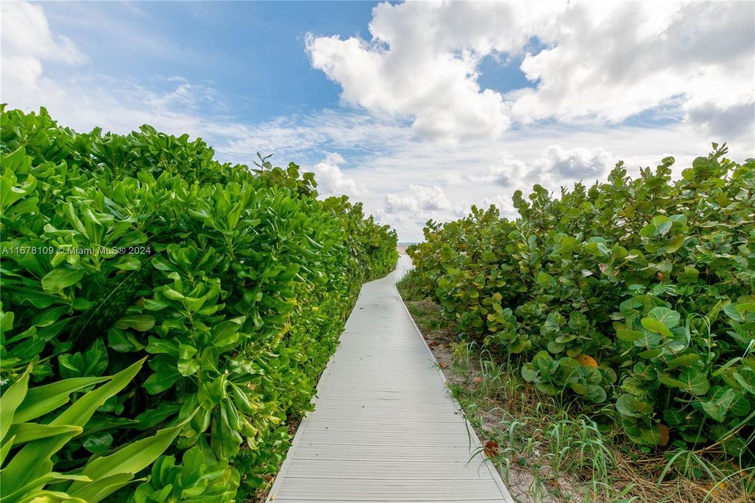 Walkway to beach